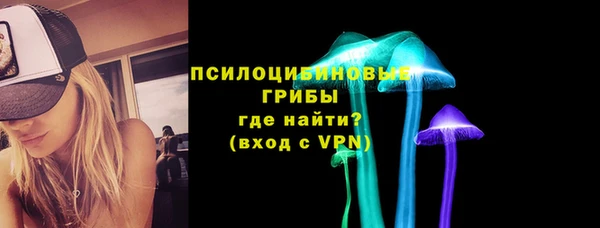 ешки Арсеньев