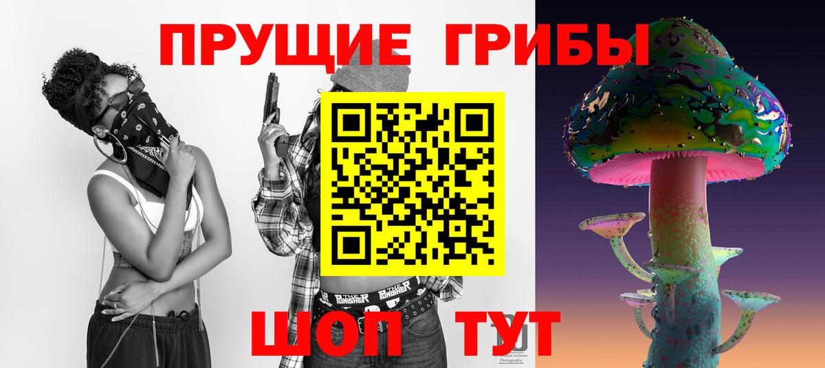 Псилоцибиновые грибы мицелий Асбест